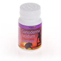 Ganoderma Lucidum + 2 kivonat